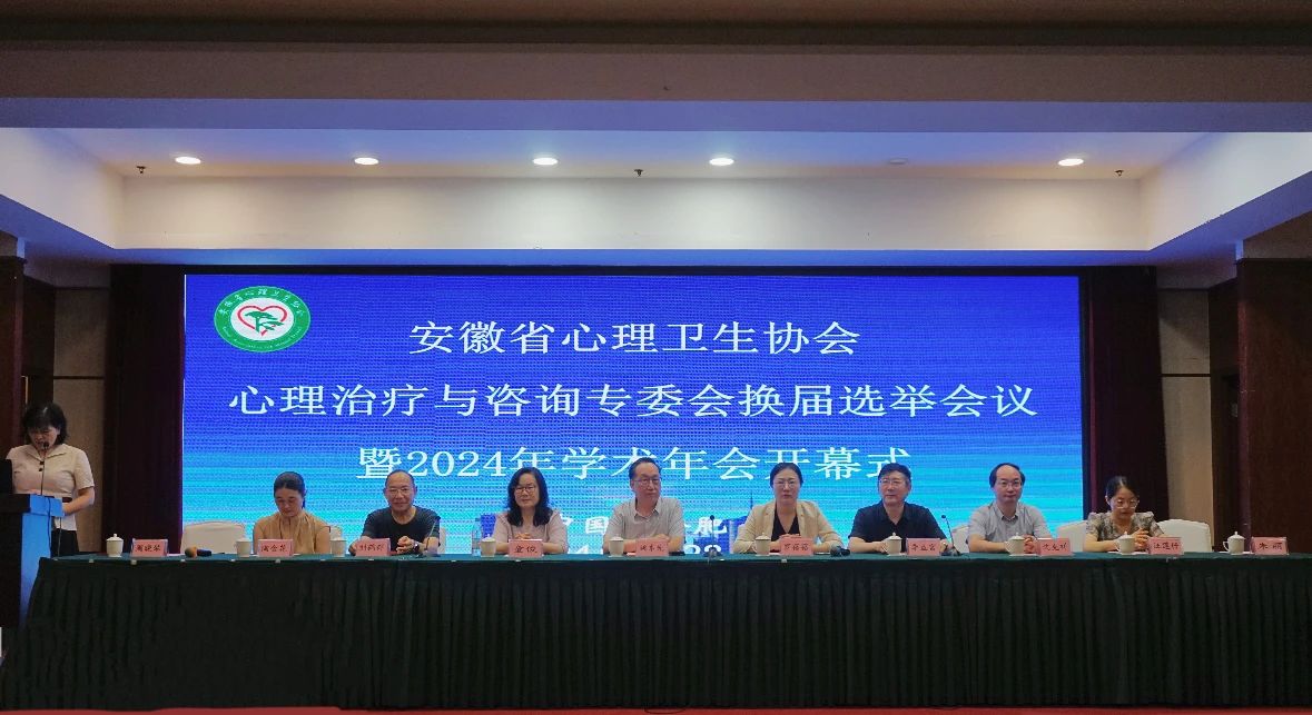 文化与传媒学院教师参加安徽省心理卫生协会 2024年学术年会