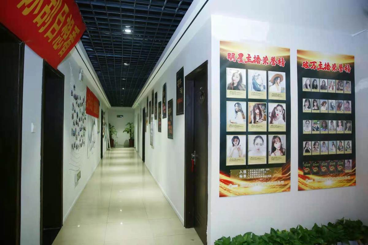 区域文化传媒的破局之道 从安徽巨马文化传媒看本土品牌的升维路径