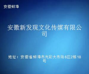 徽韵新声 安徽新发现文化传媒与地域文化的当代传播
